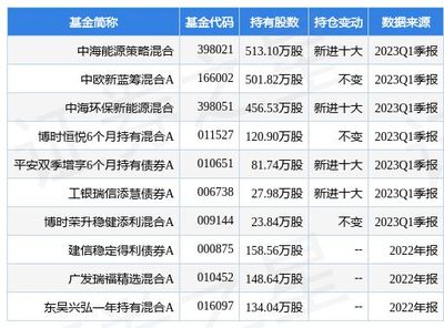 基金398021,稳健投资之道，聚焦能源领域