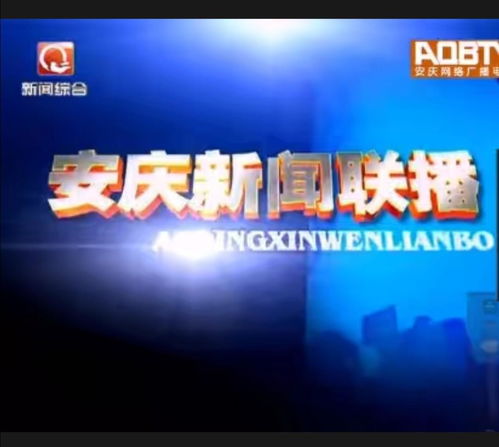安庆广播网,综合性市属高等教育的崛起与发展
