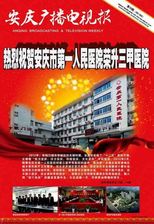 安庆广播网,综合性市属高等教育的崛起与发展(图3) 安庆广播网,综合性市属高等教育的崛起与发展(图3)