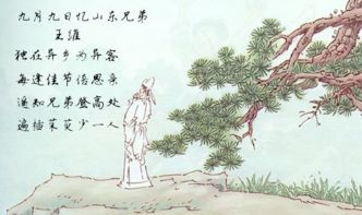 思念家乡亲人的诗句,浓烈思亲——家乡亲人思念诗篇